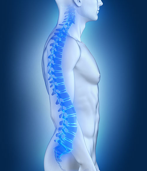 Spinal Cord Compression Surgeon New York